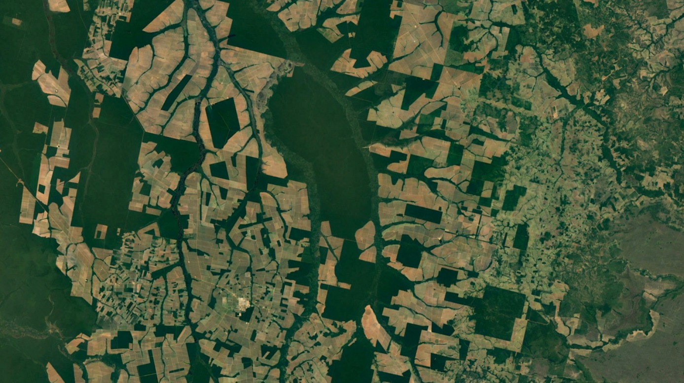 Aerial view of deforestation in the Amazon.