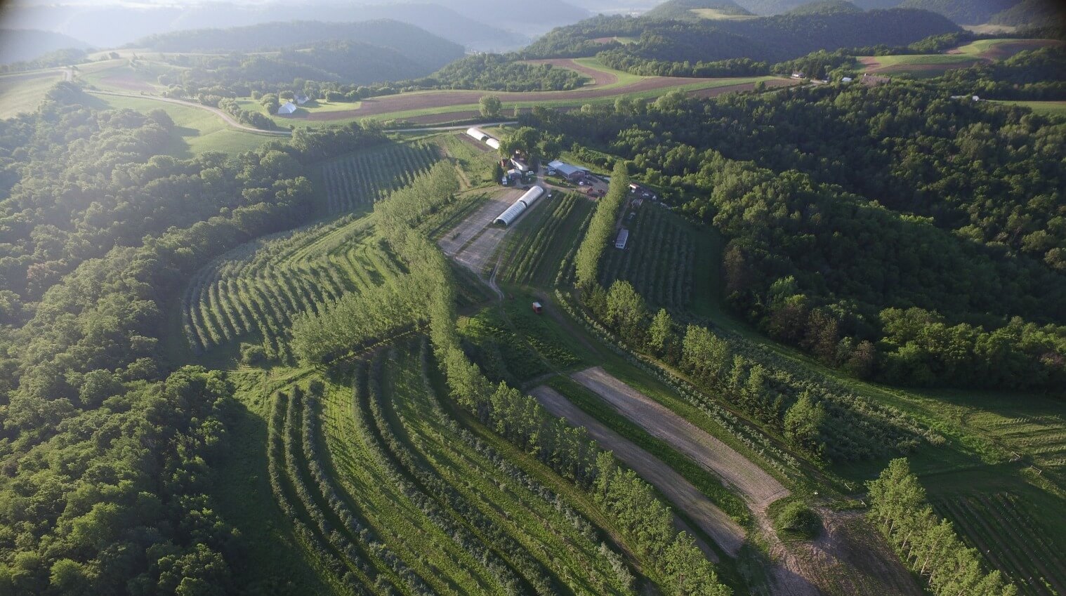 Aerial view of an agroforestry system.